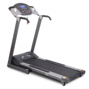 Беговая дорожка Ferrum TM 8420B